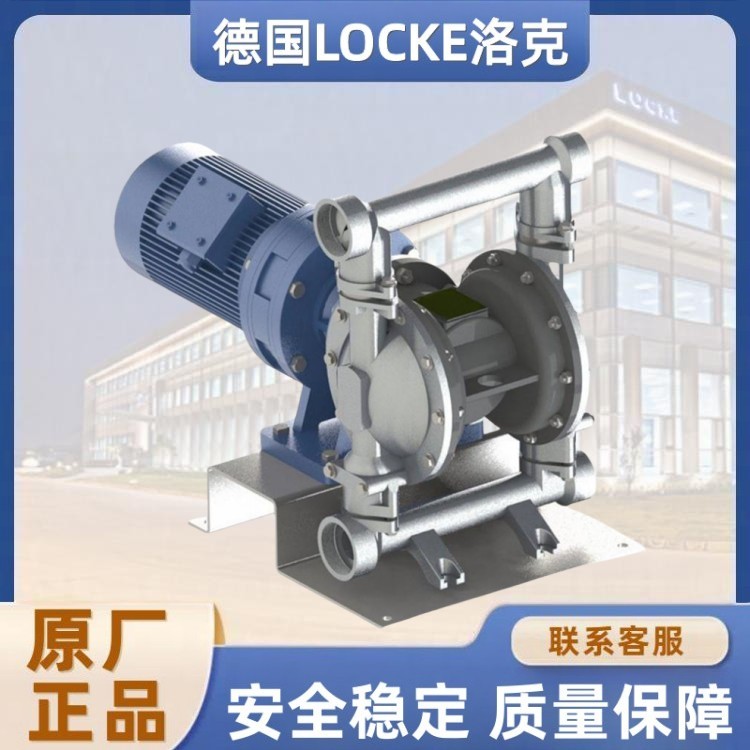 进口不锈钢电动隔膜泵