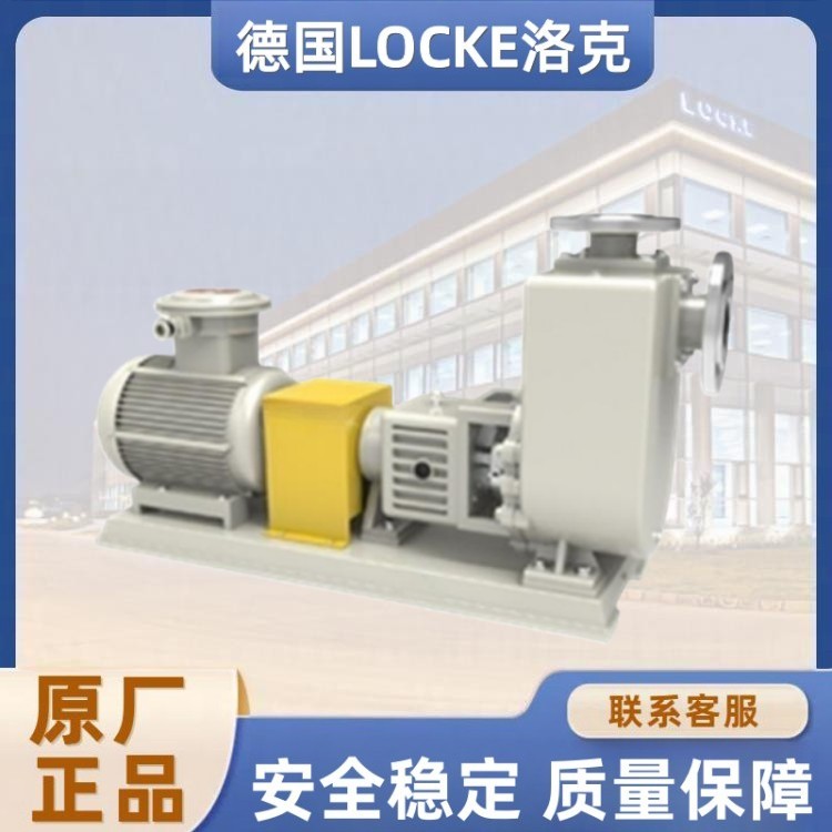 进口化工流程自吸离心泵