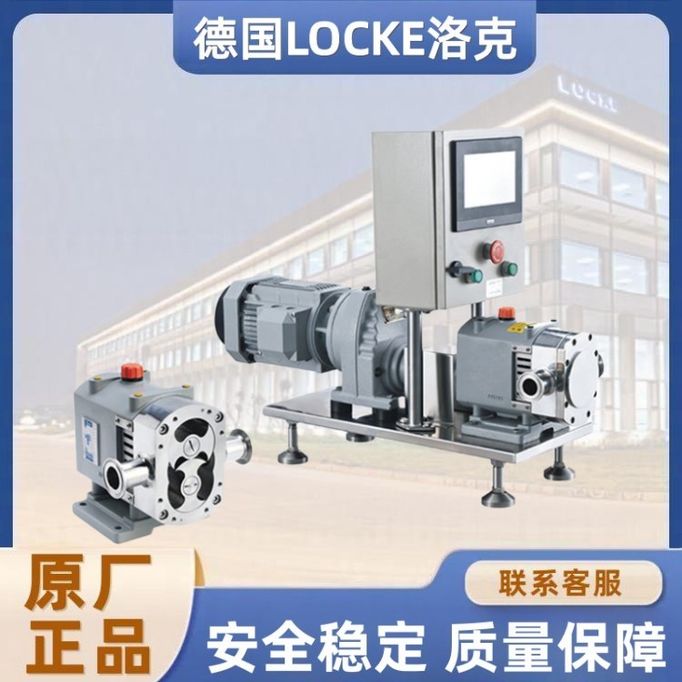 进口变频调速型转子泵