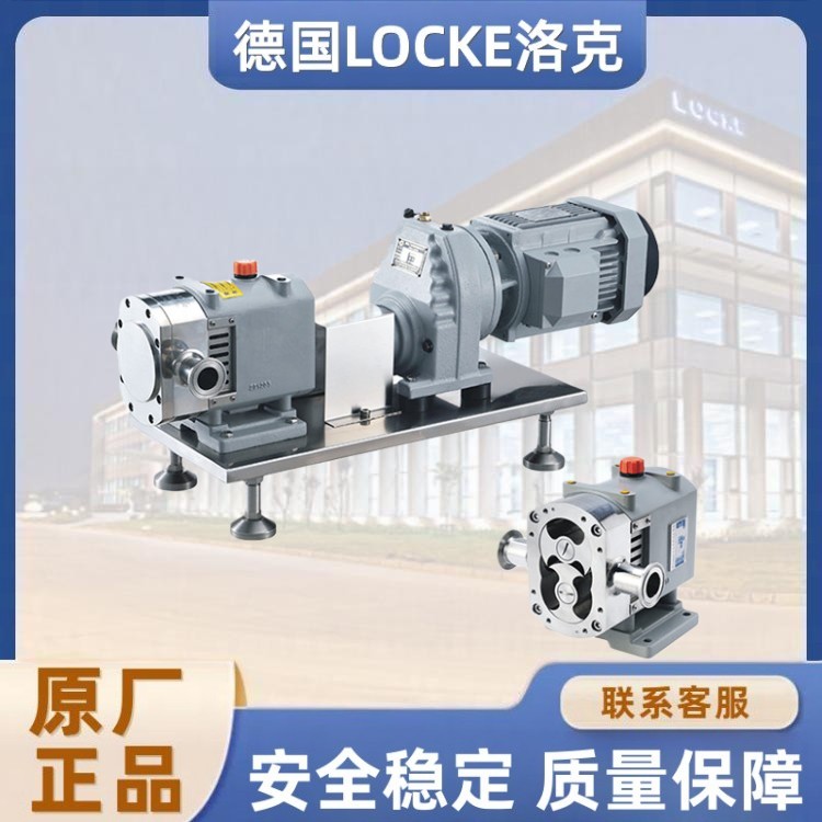 进口不锈钢转子泵