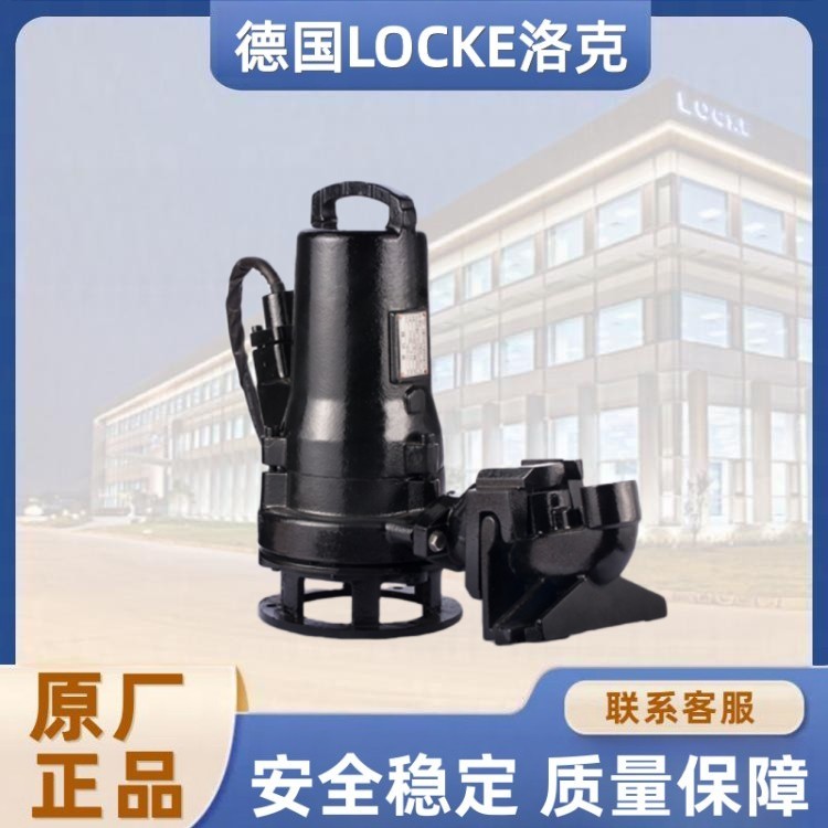 进口高效节能无堵塞粉碎泵